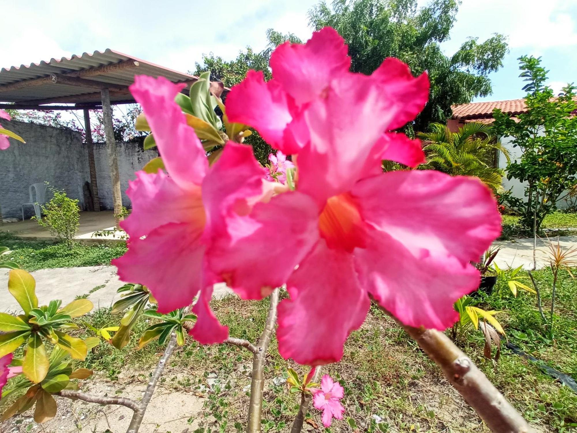 Casa Inti De Maracajau Villa Ngoại thất bức ảnh